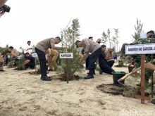 9.675 Bibit Pohon Ditanam di Lahan Bekas Tambang Bangka