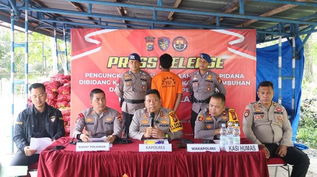 Polres Pelalawan membongkar 19,5 ton bawang bombay ilegal di wilayah perairan.