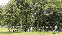 Suasana piknik keluarga yang adem di bawah pohon rindang saat matahari sangat menyengat di kulit.