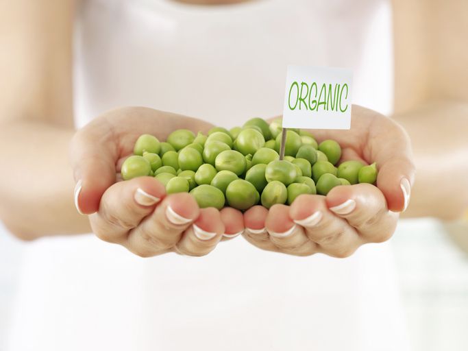 Ajakan Go Vegan Viral di Medsos, Picu Pro Kontra Netizen