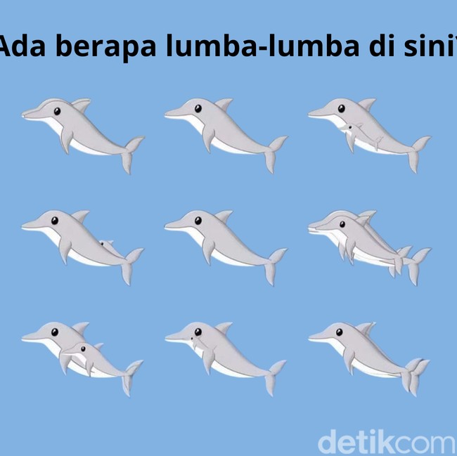 Mulai Sulit Fokus usai Libur Panjang? Coba Asah Lagi dengan Hitung Jumlah Hewan Ini