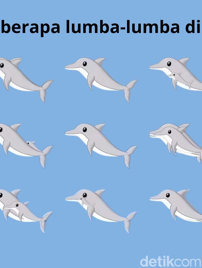 Mulai Sulit Fokus usai Libur Panjang? Coba Asah Lagi dengan Hitung Jumlah Hewan Ini