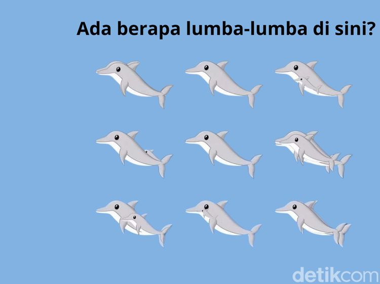 Mulai Sulit Fokus usai Libur Panjang? Coba Asah Lagi dengan Hitung Jumlah Hewan Ini