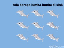 Mulai Sulit Fokus usai Libur Panjang? Coba Asah Lagi dengan Hitung Jumlah Hewan Ini