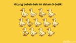 Mulai Sulit Fokus usai Libur Panjang? Coba Asah Lagi dengan Hitung Jumlah Hewan Ini