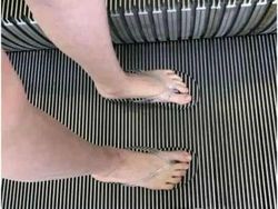 Mata Pasti Terkecoh! Foto Kamuflase Tak Sengaja Bikin Otak Nolak Percaya