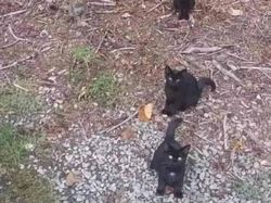 Mata Pasti Terkecoh! Foto Kamuflase Tak Sengaja Bikin Otak Nolak Percaya