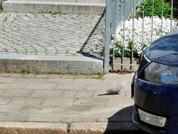 Mata Pasti Terkecoh! Foto Kamuflase Tak Sengaja Bikin Otak Nolak Percaya