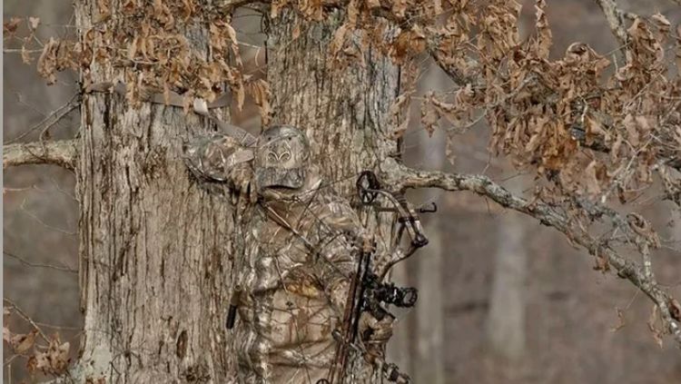 Mata Pasti Terkecoh! Foto Kamuflase Tak Sengaja Bikin Otak Nolak Percaya