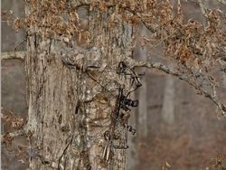 Mata Pasti Terkecoh! Foto Kamuflase Tak Sengaja Bikin Otak Nolak Percaya