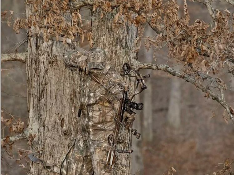 Mata Pasti Terkecoh! Foto Kamuflase Tak Sengaja Bikin Otak Nolak Percaya