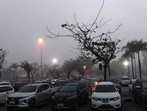 Pekanbaru Ditutupi Kabut Pekat, 4 Penerbangan Tertunda Keberangkatannya