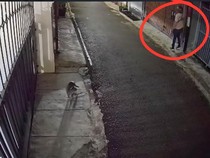 Dikirimi Bangkai Ayam hingga Bom Molotov, DJ Donny Lapor Polisi