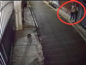 Video: Polda Metro Respons Laporan DJ Donny soal Teror Ayam Mati-Molotov