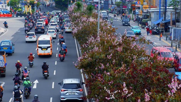 Menjelang Tahun Baru, Wajah Kota Depok Kini Jadi Makin Hijau