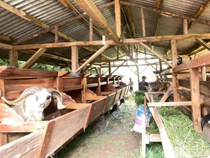Reforma Agraria di Batulawang, Warga Didorong Garap Lahan Produktif