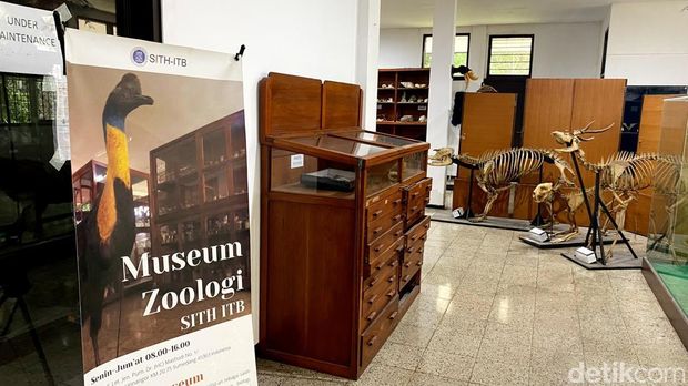 Museum Zoologi ITB.