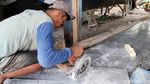 Musim Hujan Perajin Perahu PVC di Lamongan Banjir Pesanan