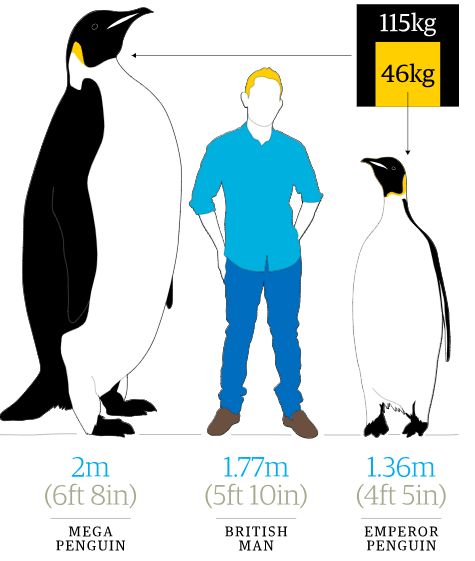 Penguin raksasa Penguin raksasa