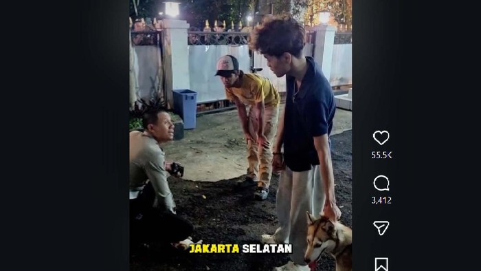 Tangkapan layar usai anjing menyerang kucing di Braga Bandung