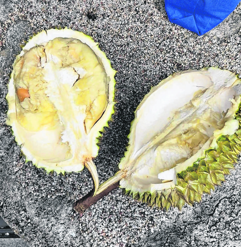 Tolak Ganti Durian Busuk Milik Pelanggan, Gerai Ini Dilaporkan ke Polisi!