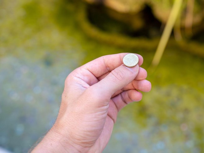 Tradisi Tahun Baru Unik