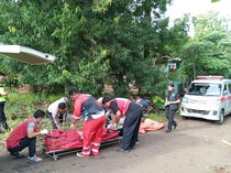 Pemotor Hantam Pohon-Bebatuan di Pekalongan, 2 Pemuda Tewas di Lokasi