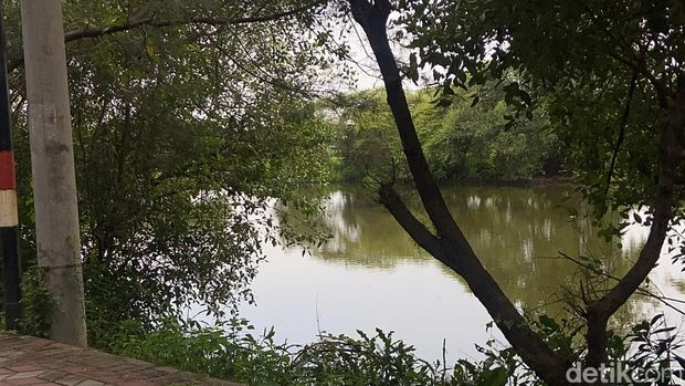 Kebun Raya Mangrove Surabaya