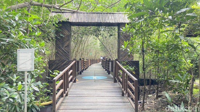 Kebun Raya Mangrove Surabaya Bukan Sekadar Wisata Alam