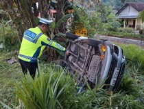 Liburan Tahun Baru di Jember Berujung Duka: Mobil Tabrak Pohon-3 Tewas