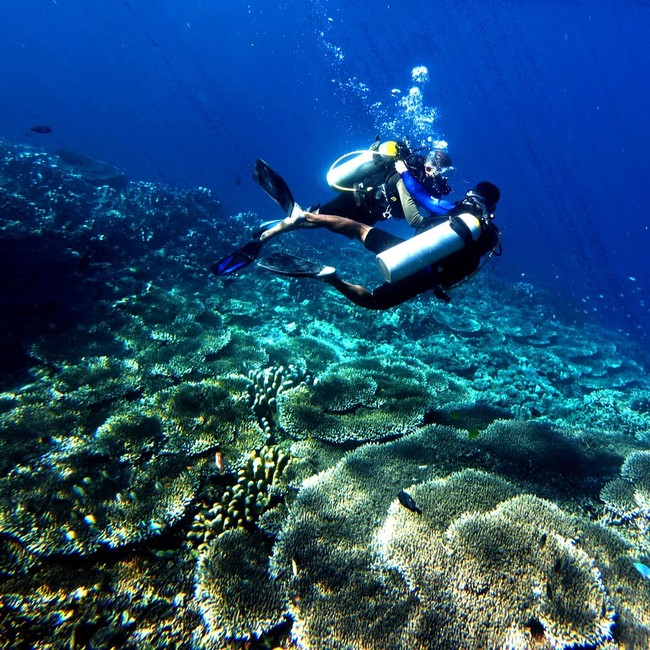 Libur Tahun Baru, Kunjungan Wisatawan ke Taman Laut Olele Meningkat