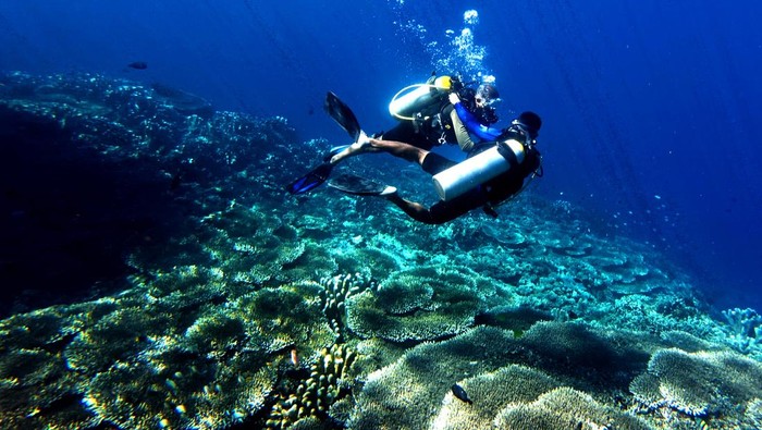 Foto udara wisatawan berenang dan snorkeling di Taman Laut Olele, Kabupaten Bone Bolango, Gorontalo, Kamis (1/1/2026). Berdasarkan data pengelola, pengunjung Taman Laut Olele pada libur Tahun Baru mencapai 100 pengunjung atau naik dari rata-rata kunjungan yang hanya belasan pengunjung tiap harinya. ANTARA FOTO/Adiwinata Solihin/bar
