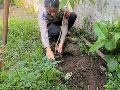 Personel Polda Jateng saat melakukan penanaman pohon sebagai bentuk kepedulian lingkungan. Foto diunggah Kamis (1/1/2026).