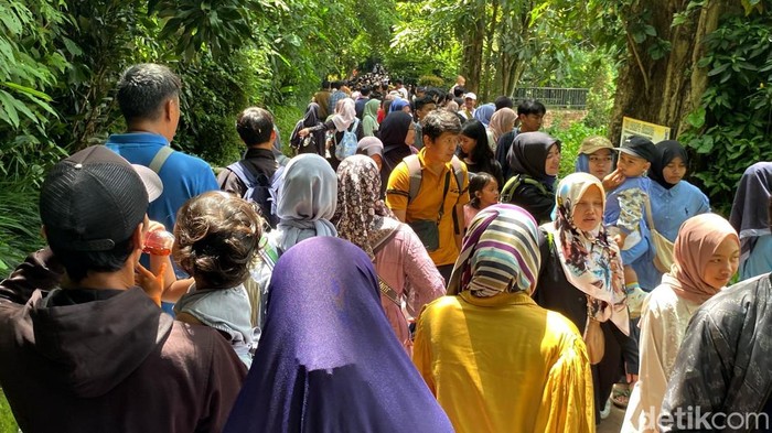 Catat! Bandung Zoo Buka hingga 4 Januari