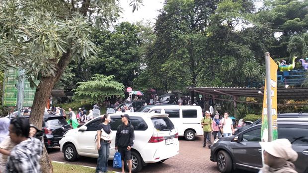 Jumlah pengunjung Taman Margasatwa Ragunan diprediksi mencapai puncaknya pada Kamis (1/1/2026) ini, bertepatan dengan masa libur Natal, Tahun Baru, dan libur panjang sekolah.