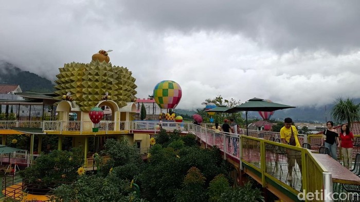 Dufan Durian Fantasi Batu Surganya Musang King hingga Black Thorn