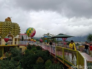 Dufan Durian Fantasi Batu Surganya Musang King hingga Black Thorn