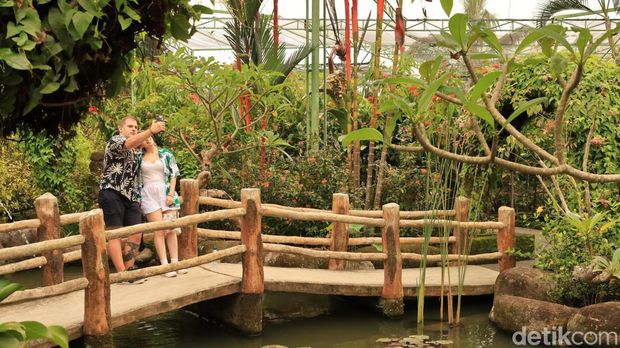 Wisata menikmati kupu-kupu di Kemenuh Butterfly Park, Gianyar, Bali, Kamis (1/1/2026). Wisata menikmati kupu-kupu di Kemenuh Butterfly Park, Gianyar, Bali, Kamis (1/1/2026).