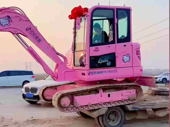 Zhang Permaisuri Ekskavator