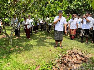 Unik, Bupati Jembrana Lantik 94 Pejabat di Kebun Kakao