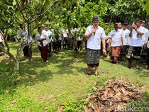 Unik, Bupati Jembrana Lantik 94 Pejabat di Kebun Kakao