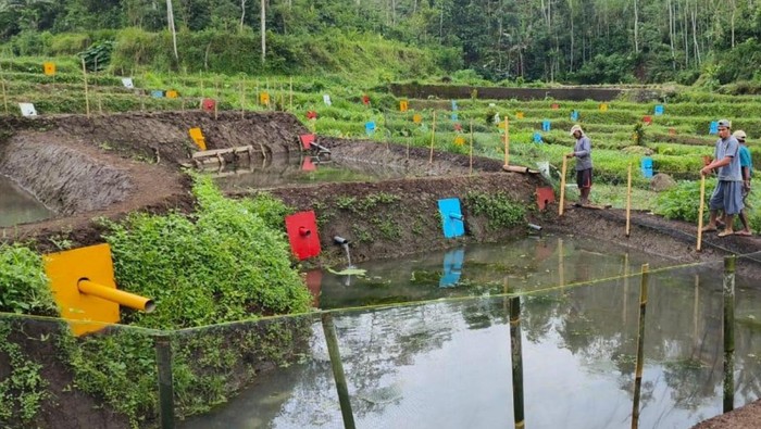 Desa Wisata Sumberdem Malang yang Cocok Buat Weekend Pertama 2026