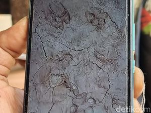 BKSDA Awasi Dugaan Jejak Harimau di Proyek Ponpes Semanu Gunungkidul