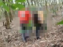 Video: Kades di Lampung Timur Tewas Mengenaskan saat Halau Gajah Liar