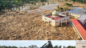 Video Kaleidoskop 2025: Bencana Ekologis Terburuk dalam 35 Tahun Terakhir