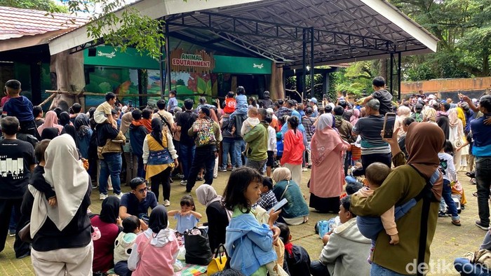 Kebun Binatang Bandung Terima Rp100 Juta dari Donasi Warga