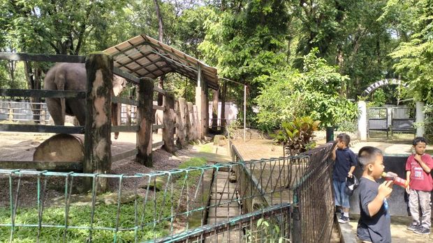 Kebun Binatang Ragunan Kebun Binatang Ragunan