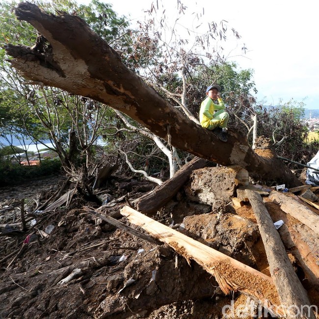 Korban Bencana Aceh Tengah Manfaatkan Kayu Gelondongan
