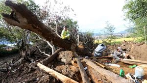 Korban Bencana Aceh Tengah Manfaatkan Kayu Gelondongan