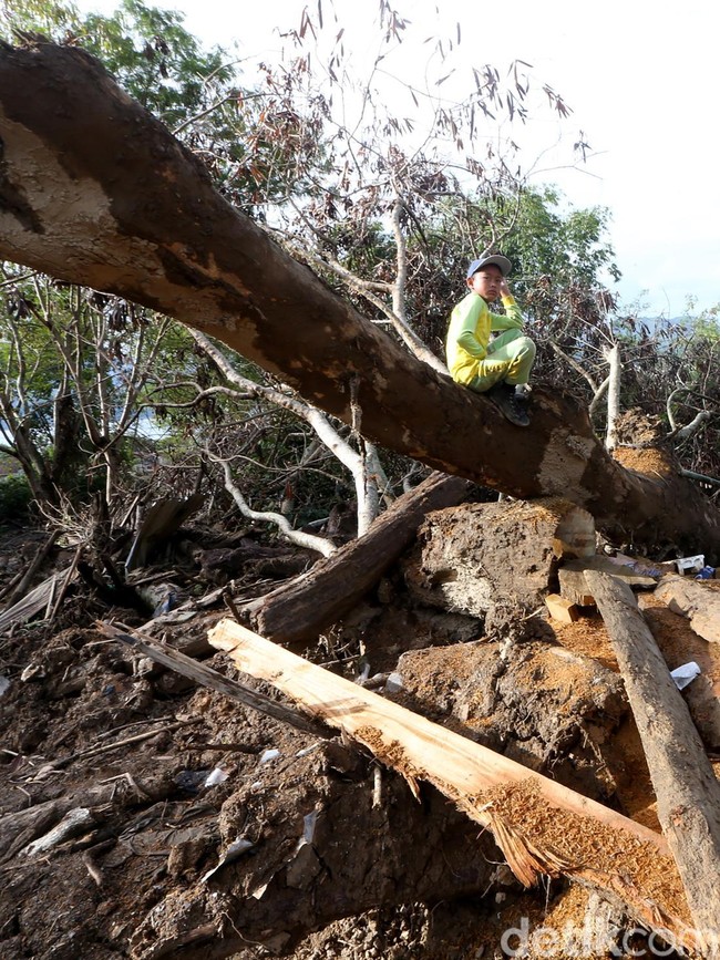 Korban Bencana Aceh Tengah Manfaatkan Kayu Gelondongan